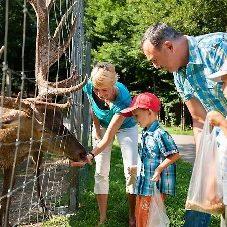 Mein-schlafplatz - Leben - Arbeiten - Wohnen * 布拉河畔的海登海姆